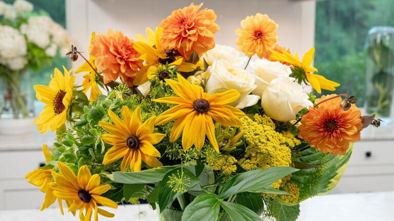 Wellness in Bloom