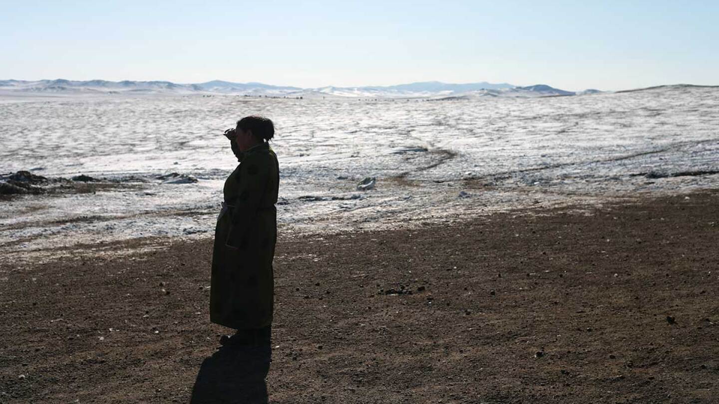 Altantsetseg Jugdur remembers the days when the grasses in Mongolia grew tall enough to cover the cattle. | Shanshan Chen/Thomson Reuters Foundation