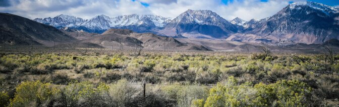 Paiute irrigation ditch overgrown