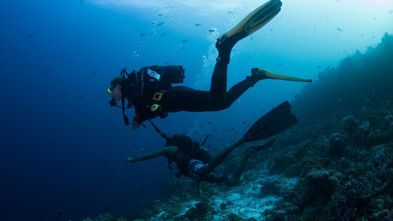 Divers | Photo: Tchami, some rights reserved