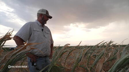 What's making it harder for American family farms to survive