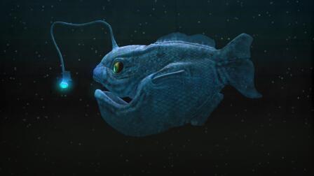 When Fish (Finally) Conquered the Deep Sea