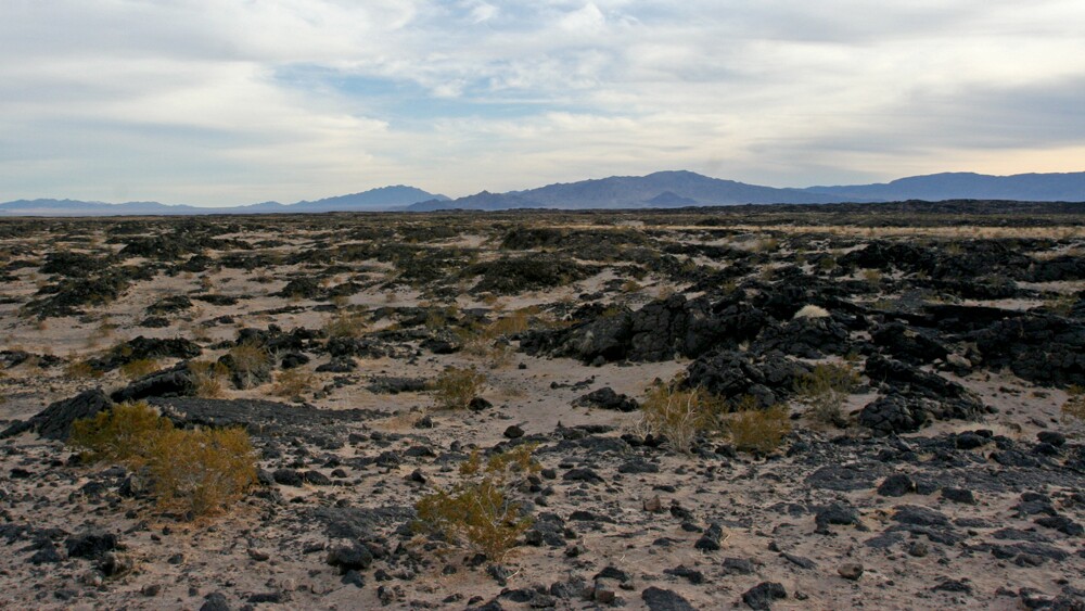 A view eastward across the Amboy lava field | Photo: Chris Clarke