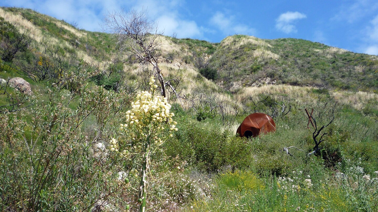 mount lukens