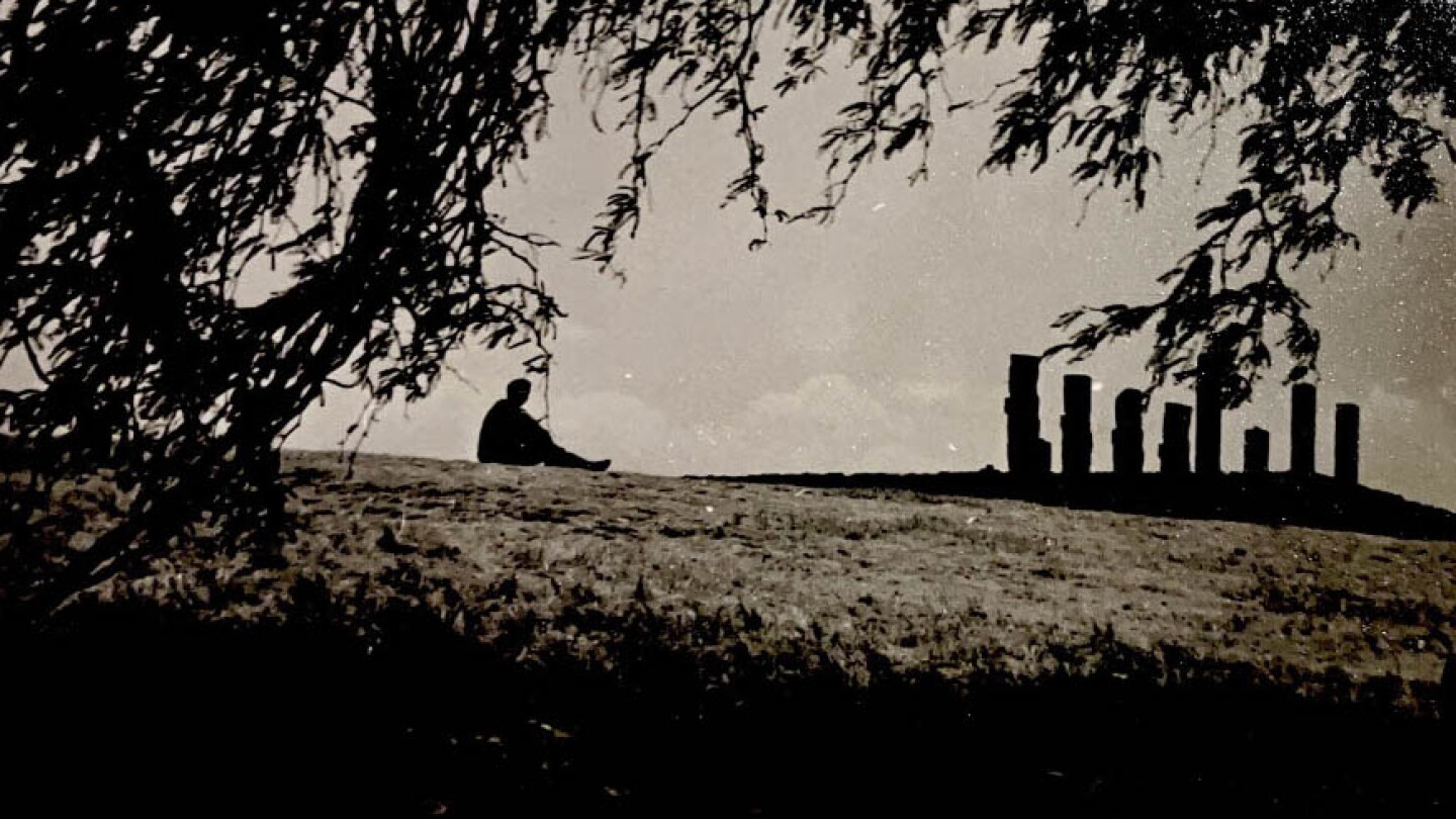 A silhouette of a young man sitting at the top of a hill. There's a tree with long swaying branches above him.