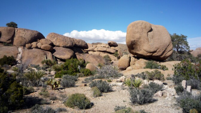Boulders in Pine City