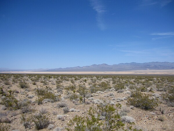 ivanpah-valley-11-26-12-thumb-600x450-40944