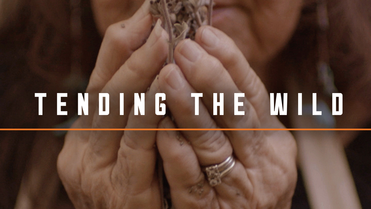Tending the Wild