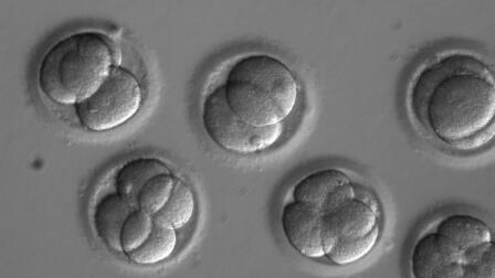 This gene-editing milestone raises big ethical questions