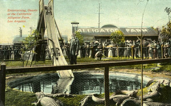 1911 postcard from the California Alligator Farm in Lincoln Heights. Courtesy of the Los Angeles Public Library Photograph Collection.