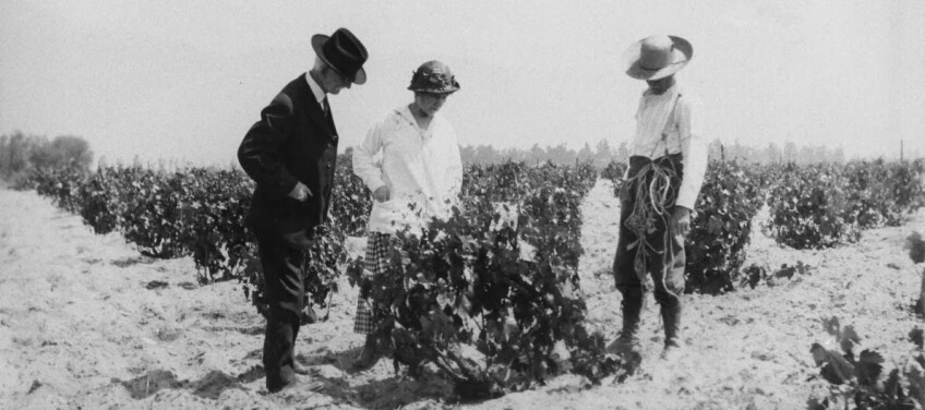 Cucamonga winery in 1909