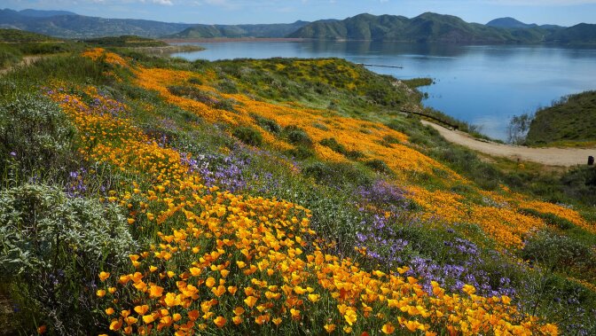 diamond valley lake