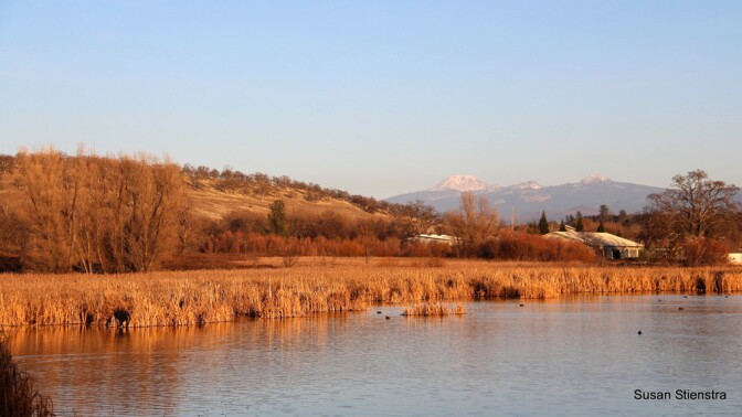 The Battle Creek Wildlife Area with Mt. Lassen in the background | Photo: Susan Stienstra, some rights reserved