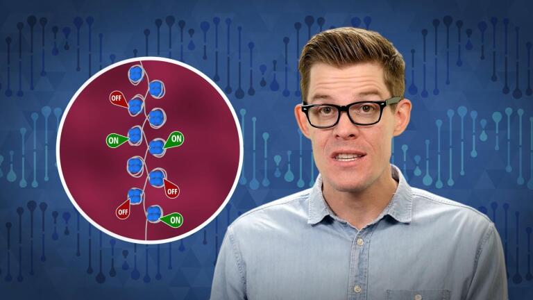 Is Epigenetic Inheritance Real?