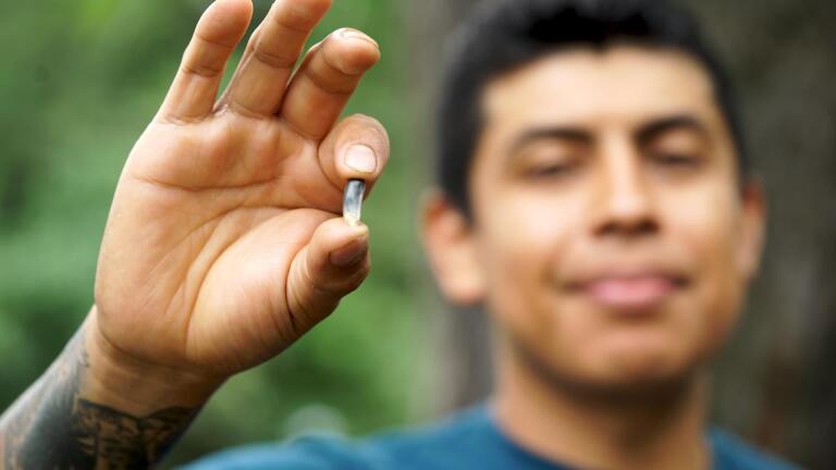 Heirloom Maize with Jose Alarcon