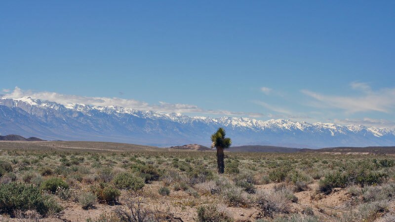 View of the Sierra Nevada from Lower Centennial Flat