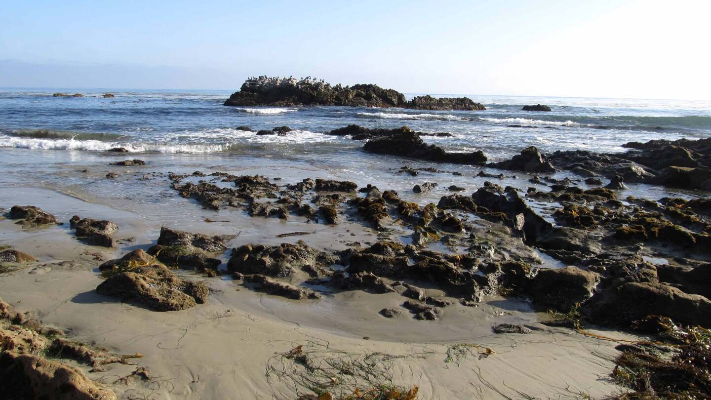 Bird Rock, seen from Laguna Beach, one of the Orange County rock islands now under federal protection. | photo by Ken Lund