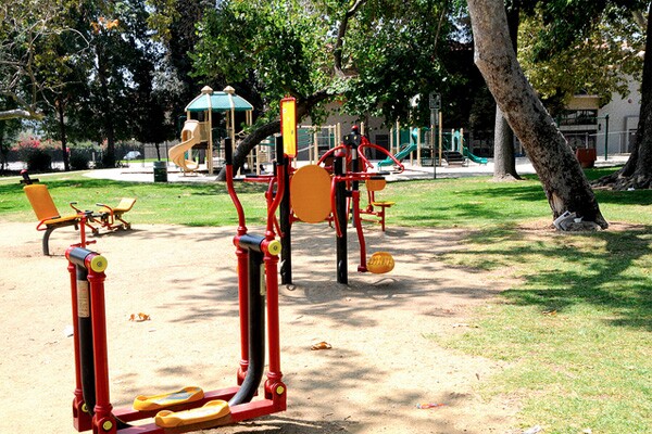 sycamore-grove.jpg