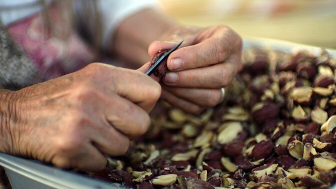 loisconnerbohna_peeling_acorns_northfork.jpg