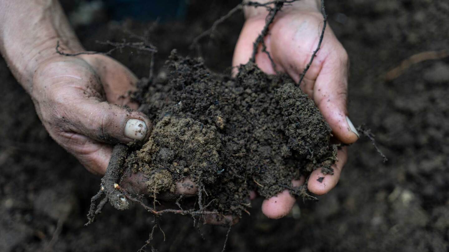 An individual digs their hands in the earth at Chaikuni's permaculture center. | Courtesy of Chaikuni Institute