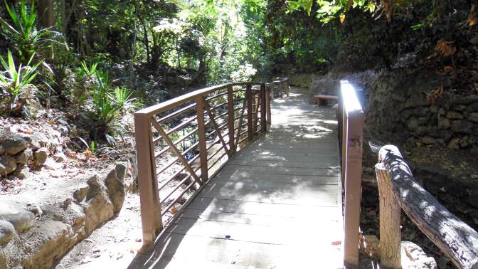 Entry point to the Fern Dell pedestrian bridge | Sandi Hemmerlein
