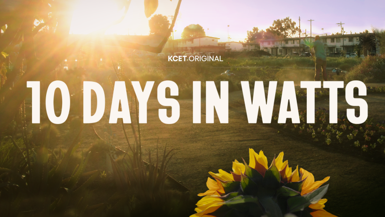 10 Days in Watts