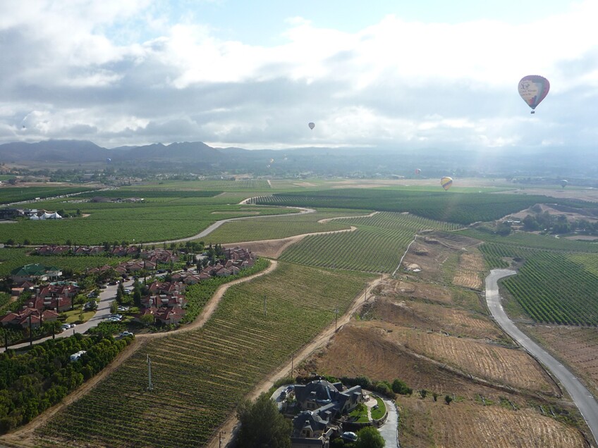 Wine tasting - Temecula