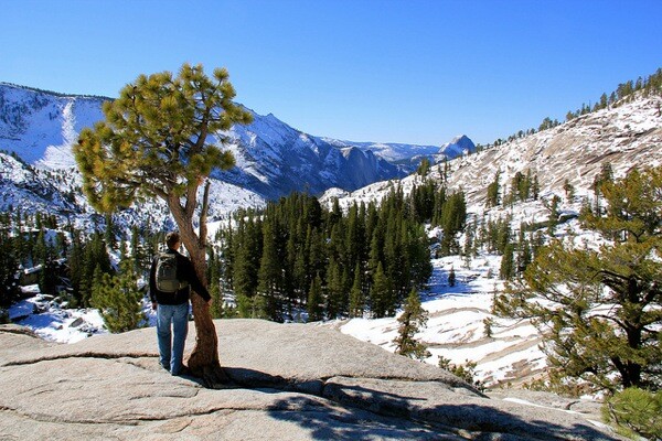 tioga-road-opens-olmsted-point