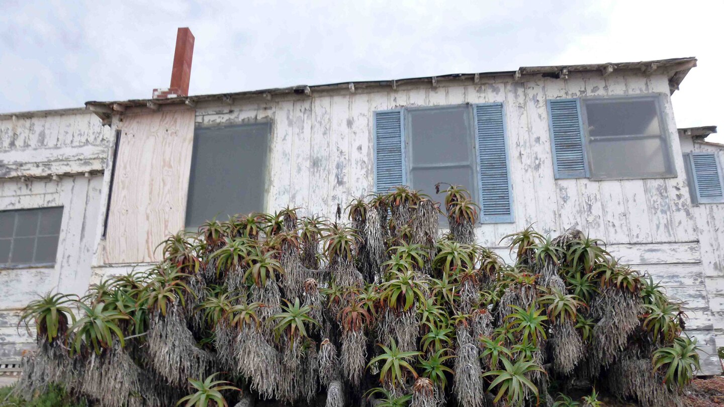 Crystal Cove Cottages