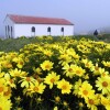 Anacapa Island