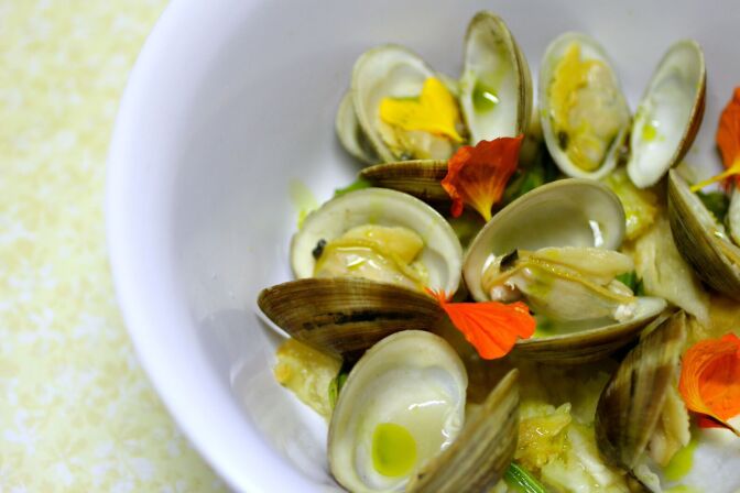 Clams and nasturtiums
