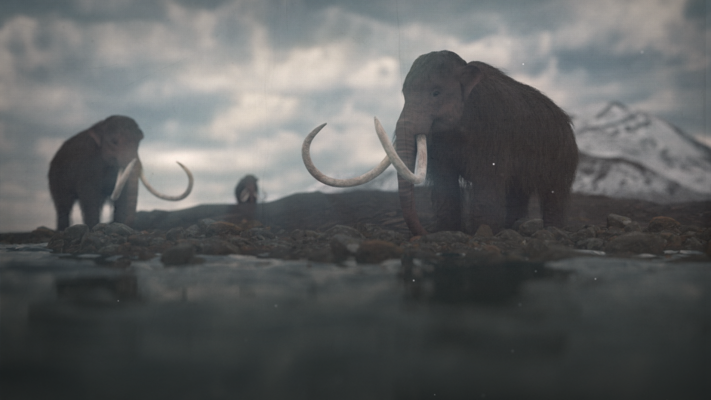 The Island of the Last Surviving Mammoths