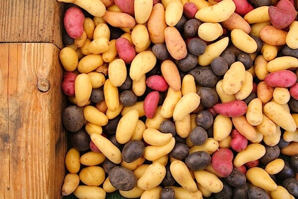 weiserpotatoes