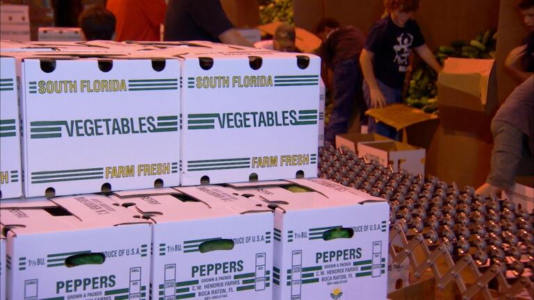 Florida Farmers Feed Florida