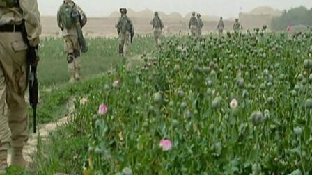 'Raw Opium' Explores Mixed Results of Global Efforts to...