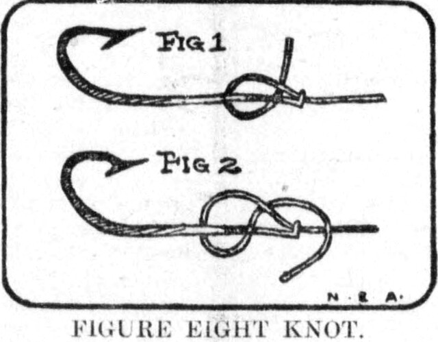 Diagram of Figure Eight Knot, Tacoma Times, May 14, 1904