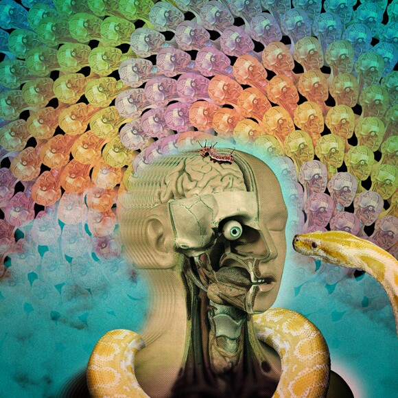 Artwork by Sonny Kay