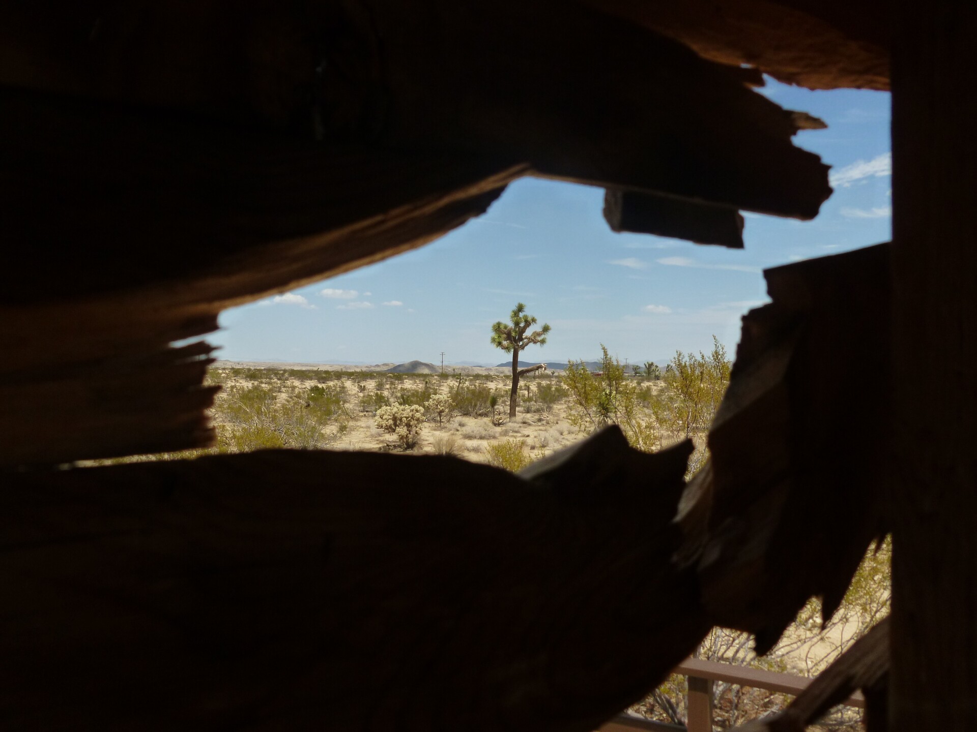 A large chunk of a wall is missing, revealing the exterior landscape, a vast desert dotted with Joshua trees, one of which is framed perfectly in the hole in the wall. 