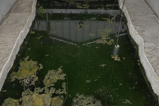 The $4.5 million Ash Meadows Fish Conservation Facility completed and opened in 2013. | Photo: Kim Stringfellow.