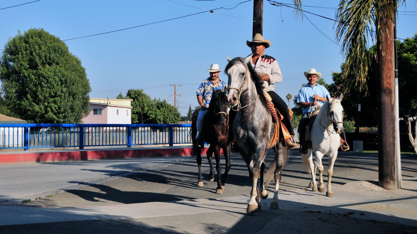 southla_horses.jpg