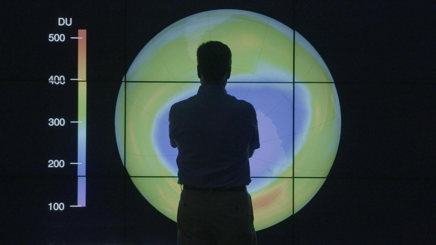 Silhouette of a person examining a kind of climate map.