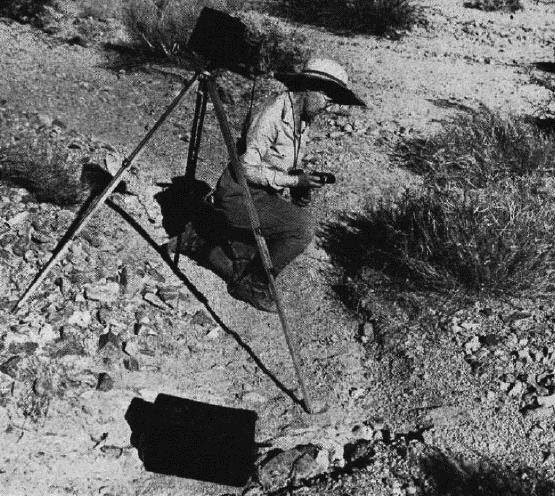 Botanist Mary Beal