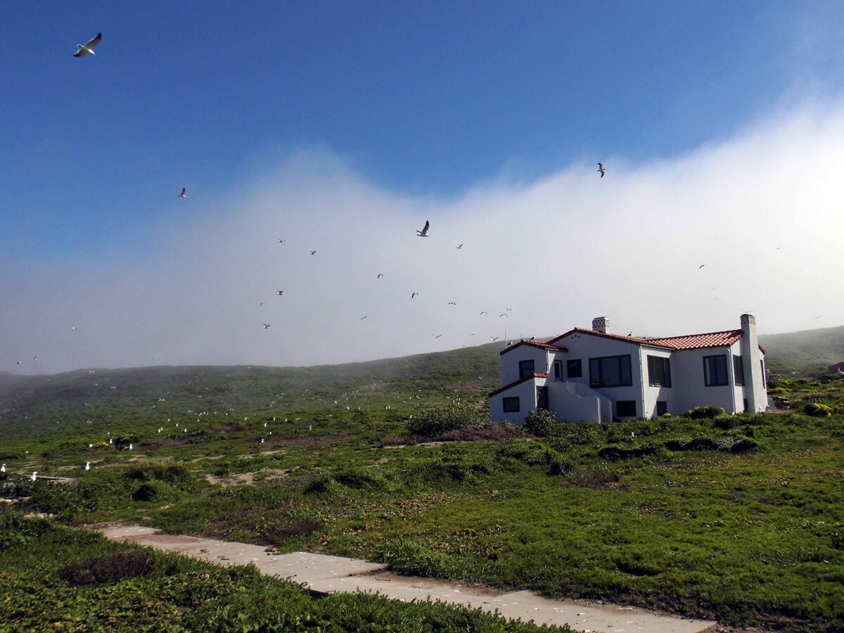 Anacapa Island | Sandi Hemmerlein