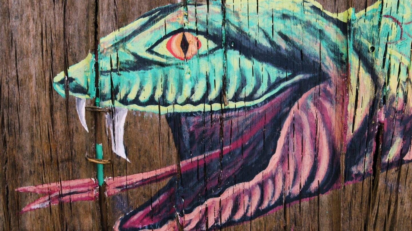 Snakes and Culture in the Amazon