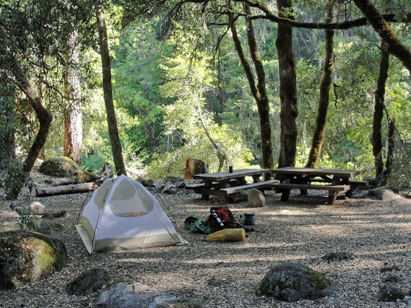A campground in Shasta-Trinity National Forest.