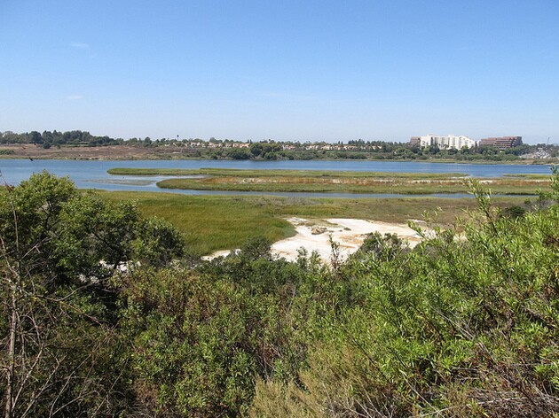 upper-newport-bay-5-18-15-thumb-630x472-92676