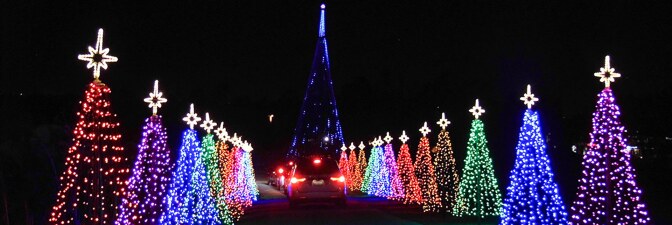 Two rows of colorfully lit Christmas trees at Hikari – A Festival of Lights at Tanaka Farms. | Sandi Hemmerlein