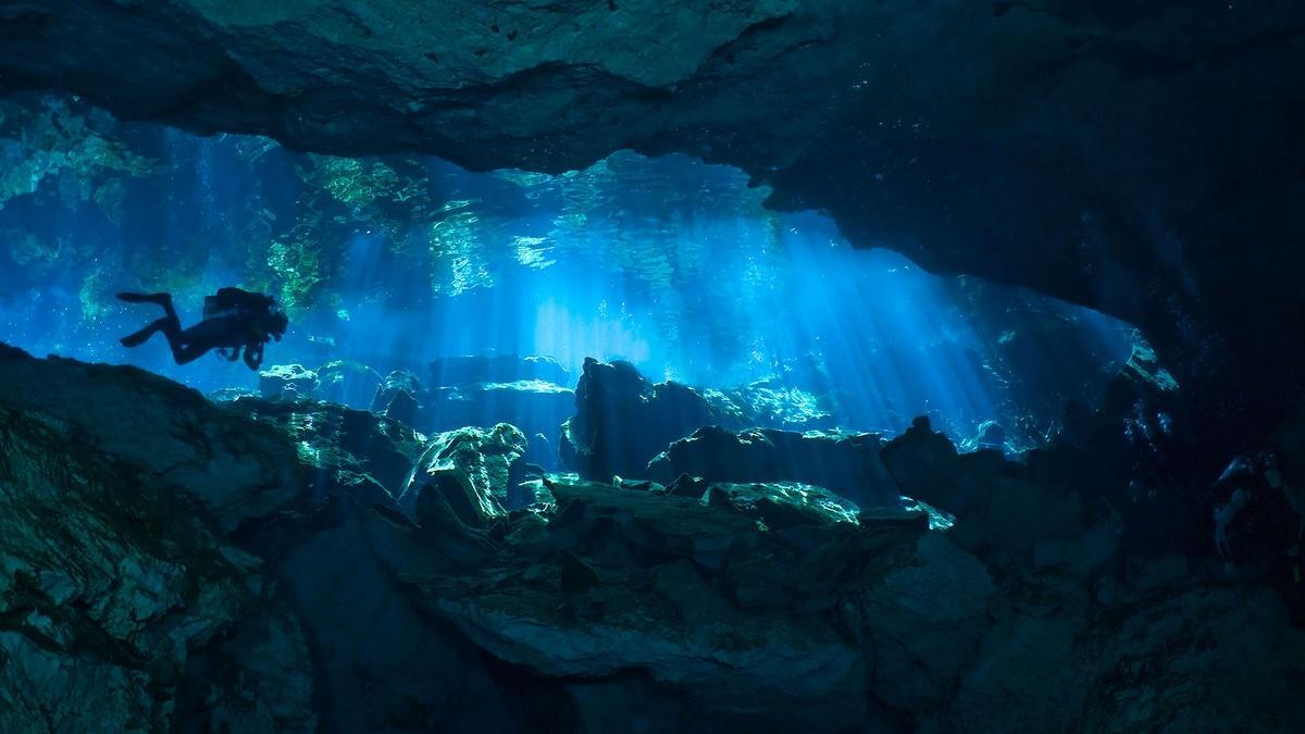 forests of the maya