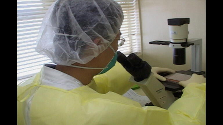 Hong Kong: Chasing the Virus