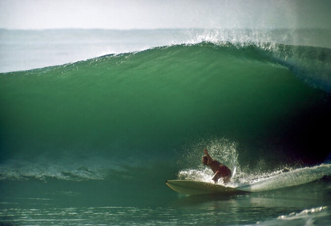 Craig Peterson Petalco